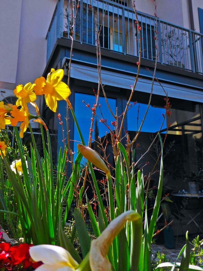 Fiorenzuola Bed & Breakfast Fiorenzuola di Focara Zewnętrze zdjęcie